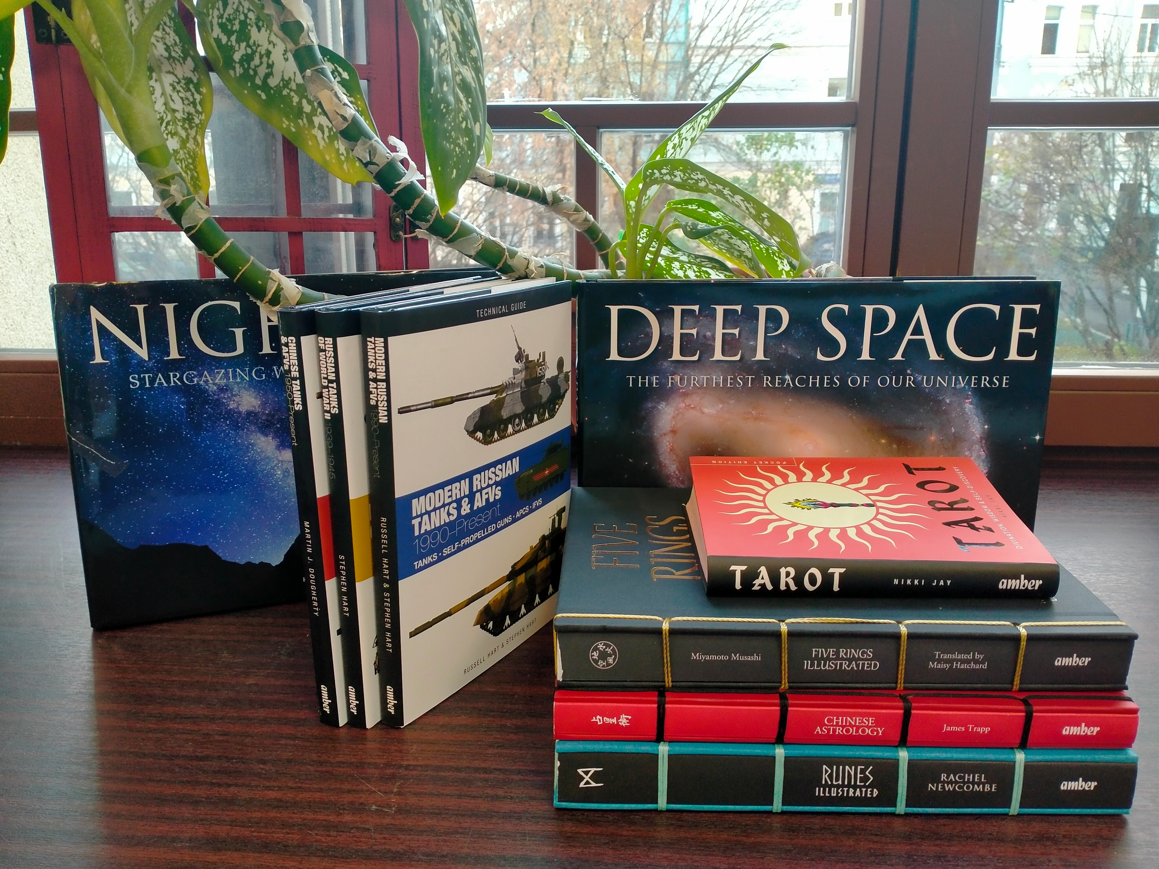 Amber Books Publishing