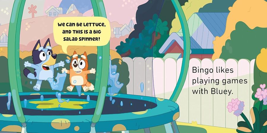 Bluey Little Library