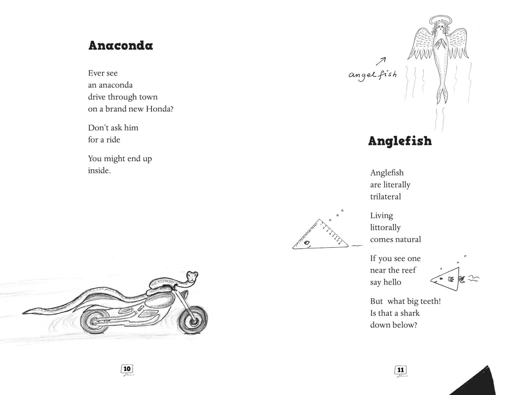 An Imaginary Menagerie Poems and Drawings