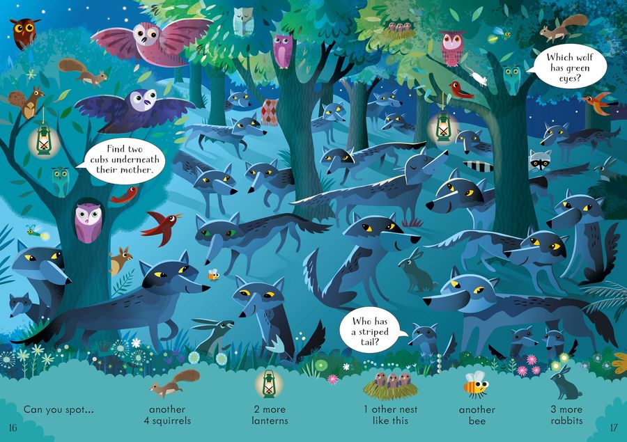 Usborne Can you Spot Night Time