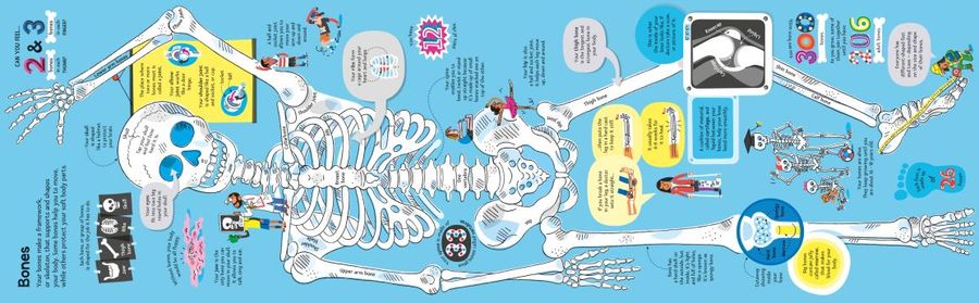 The Usborne Big Book of The Body