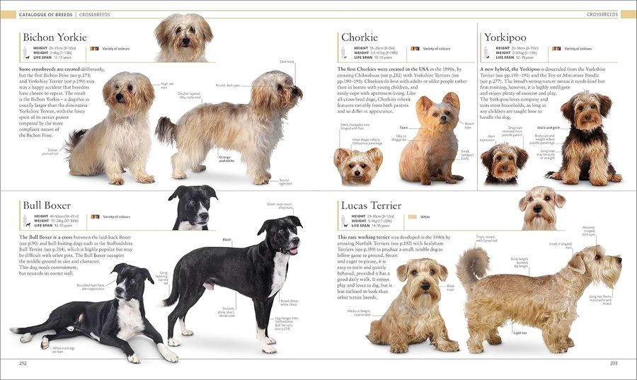 The Dog Encyclopedia The Definitive Visual Guide