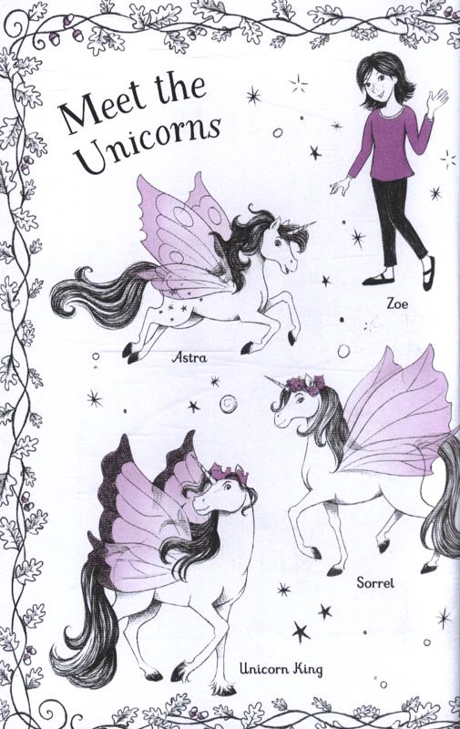 Usborne Young Reading 3 Fairy Unicorns Magic Forest