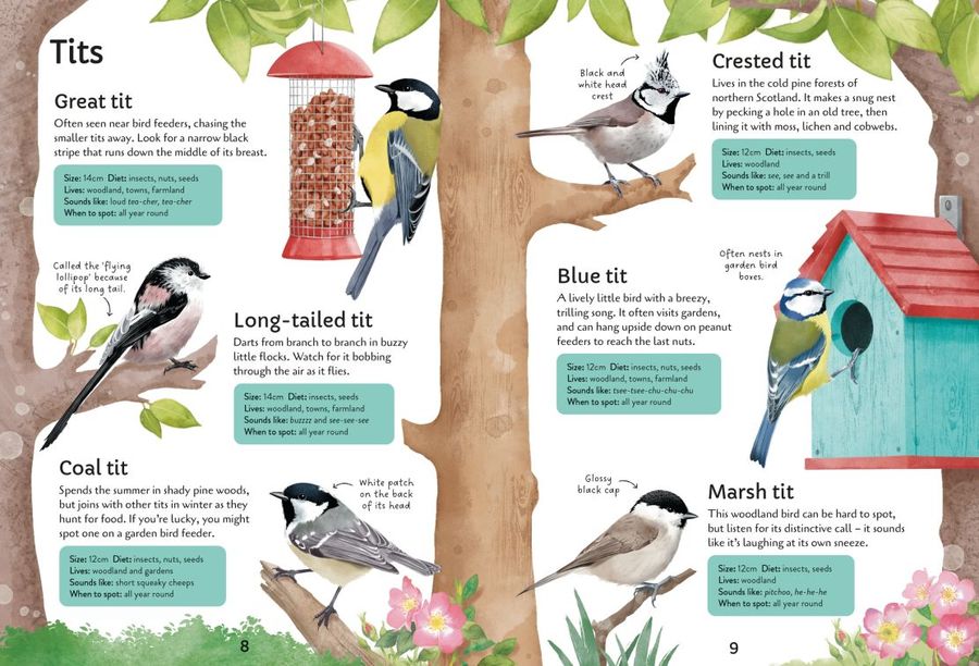 New Spotter's Guides Birds