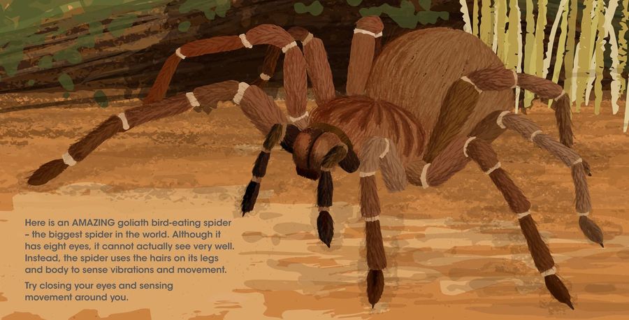 Lifesize Creepy Crawlies World Book Day 2023