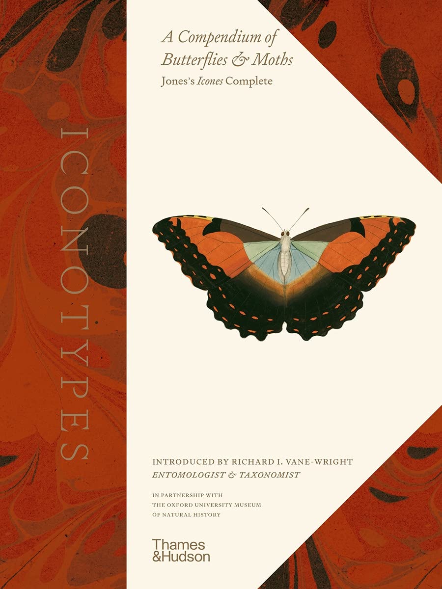 Iconotypes A compendium of butterflies and moths. Jones's Icones Complete
