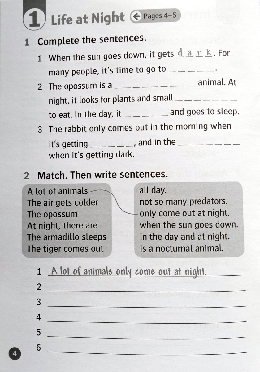 Oxford Read and Discover 4 Animals at Night Activity Book