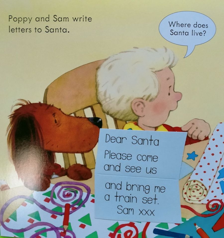 Usborne Farmyard Tales Poppy and Sam's Lift-the-Flap Christmas