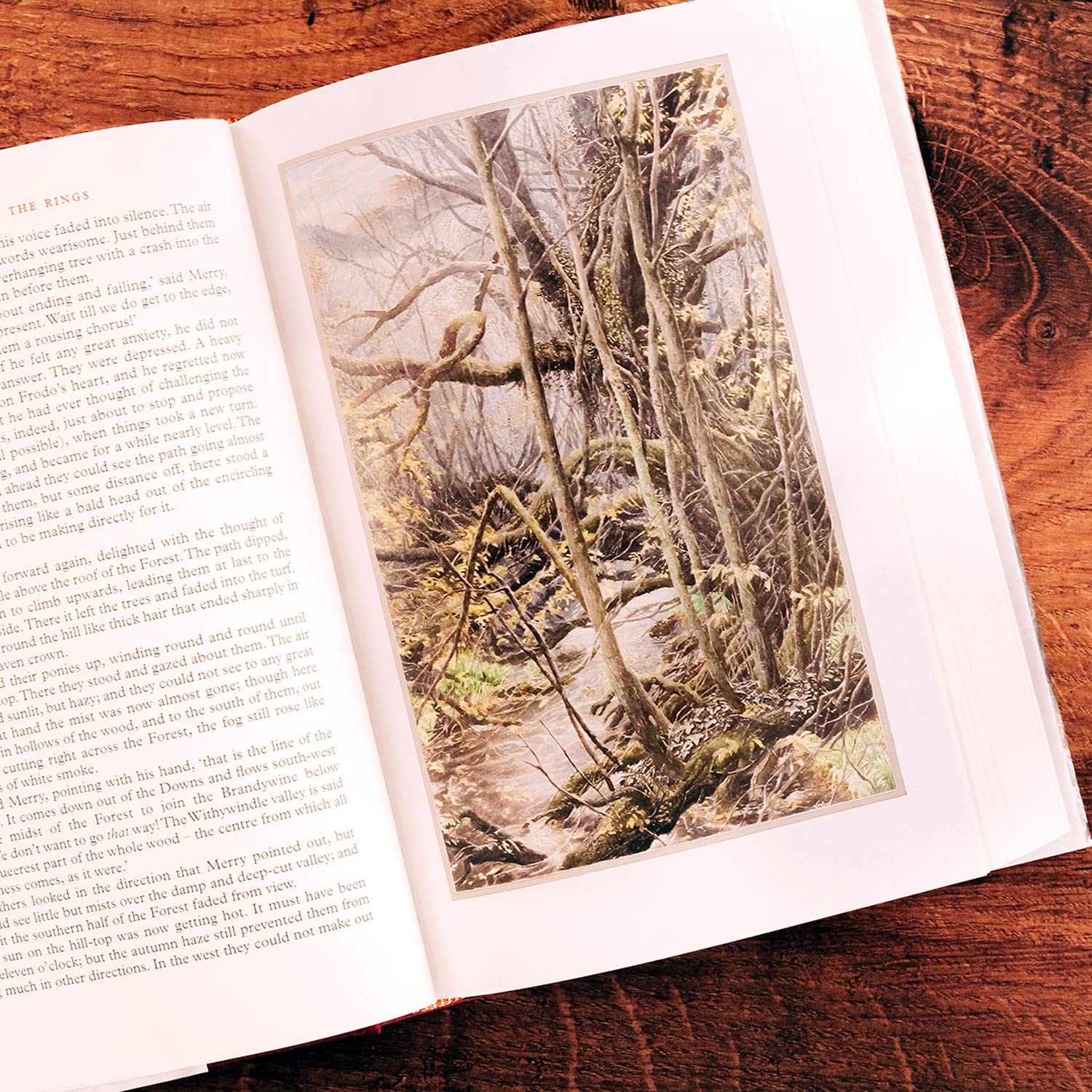 The Lord of Rings 1 The Fellowship of the Ring