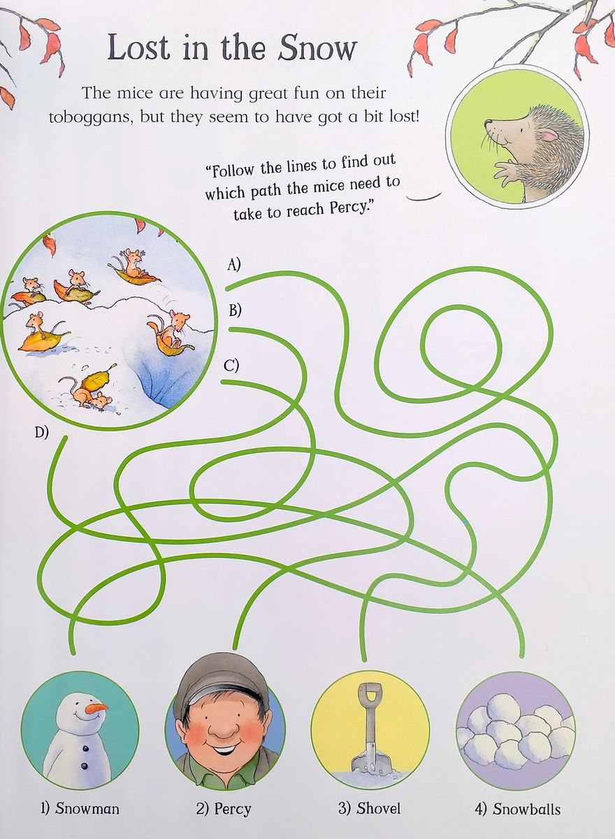 One Snowy Night Activity Book (A Percy the Park Keeper Story)