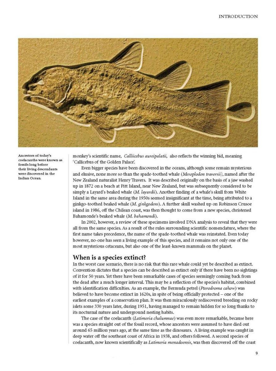 Encyclopedia of Animals