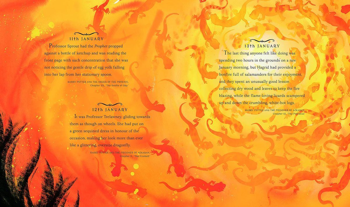 Harry Potter A Magical Year The Illustrations of Jim Kay