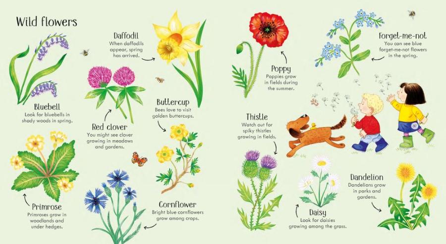 Poppy and Sam's Nature Spotting Book