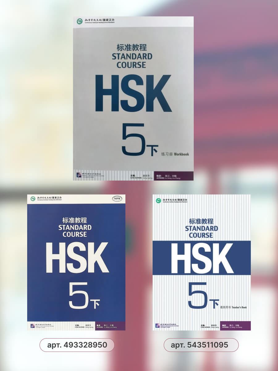 HSK Standard Course 5B Workbook