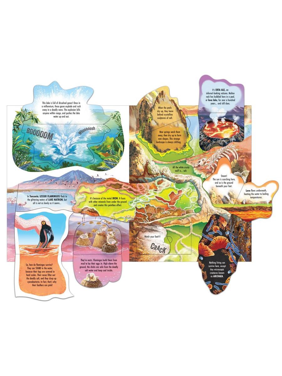 Usborne See Inside Wild Places