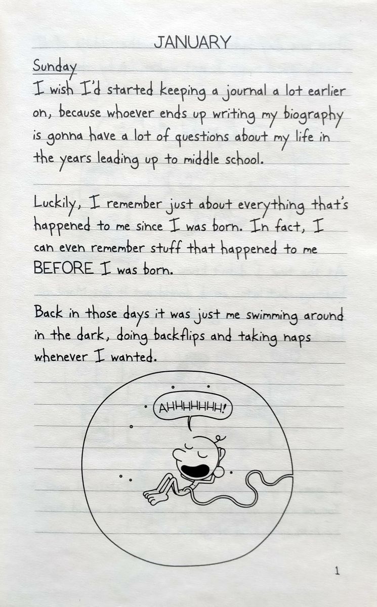 Diary of a Wimpy Kid Book 7 The Third Wheel