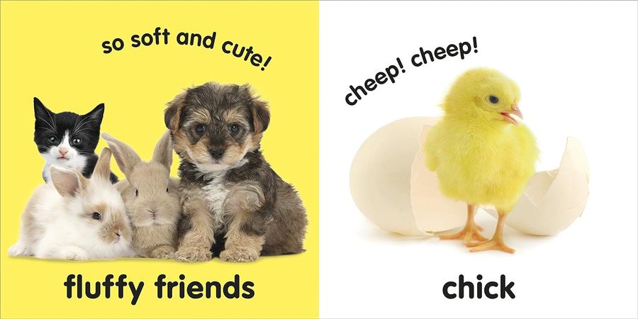 Baby Touch and Feel Fluffy Animals