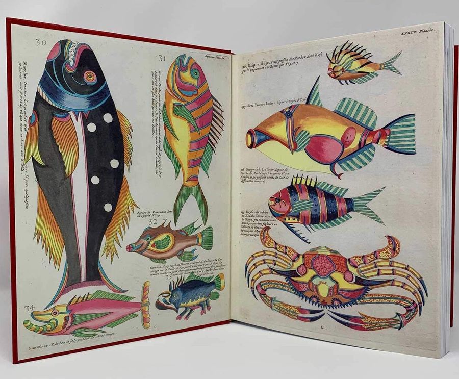 The Madman's Library The Greatest Curiosities of Literature