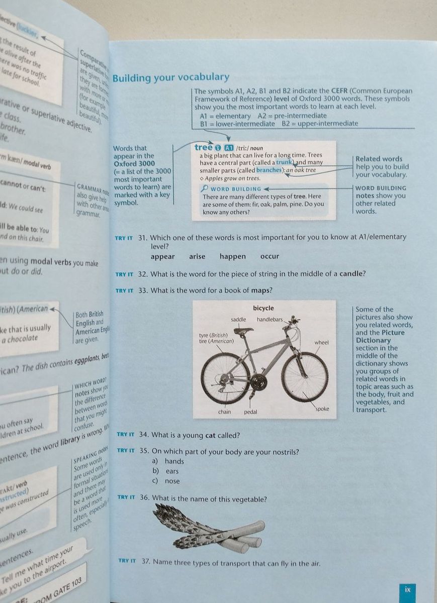 Oxford Basic English Dictionary 5 edition