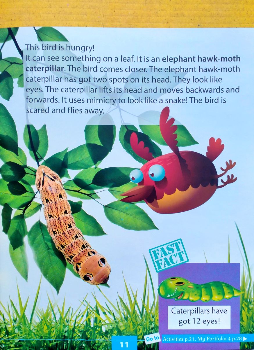 Explore Our World CLIL Readers 2 Animal Camouflage with Digibook