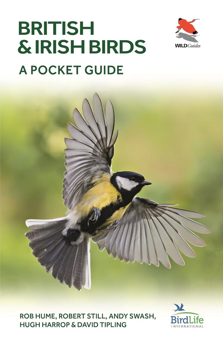 British Birds A Pocket Guide