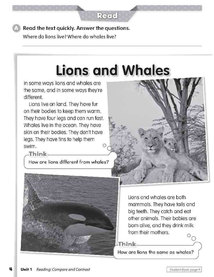 Oxford Discover 2 Workbook