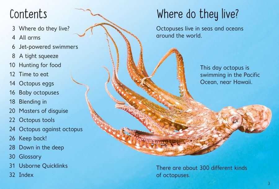 Usborne Beginners Octopuses