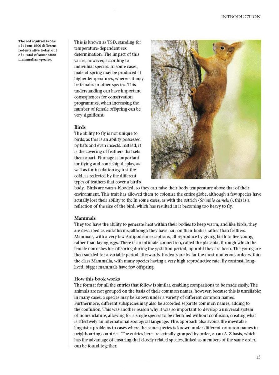 Encyclopedia of Animals