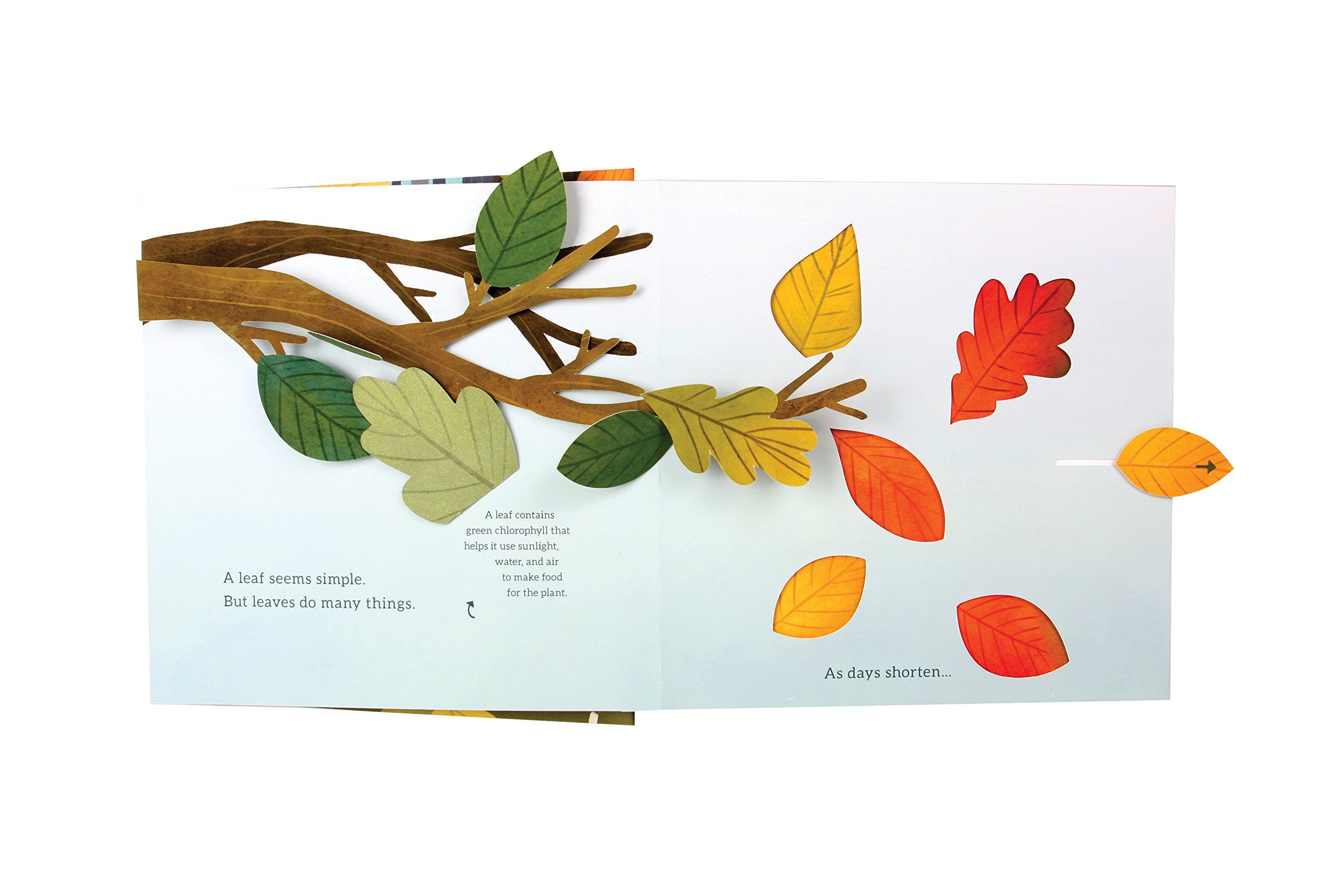Leaves An Autumn Pop-Up Book