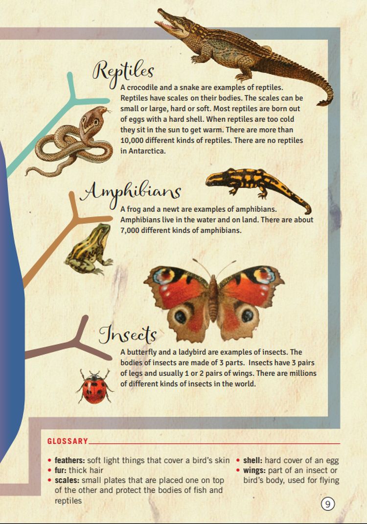 Helbling Young Readers 1 The Adventures of Doctor Dolittle + app + e-zone