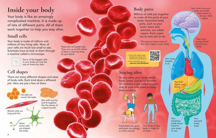 Usborne First Encyclopedia of the Human Body Hardback