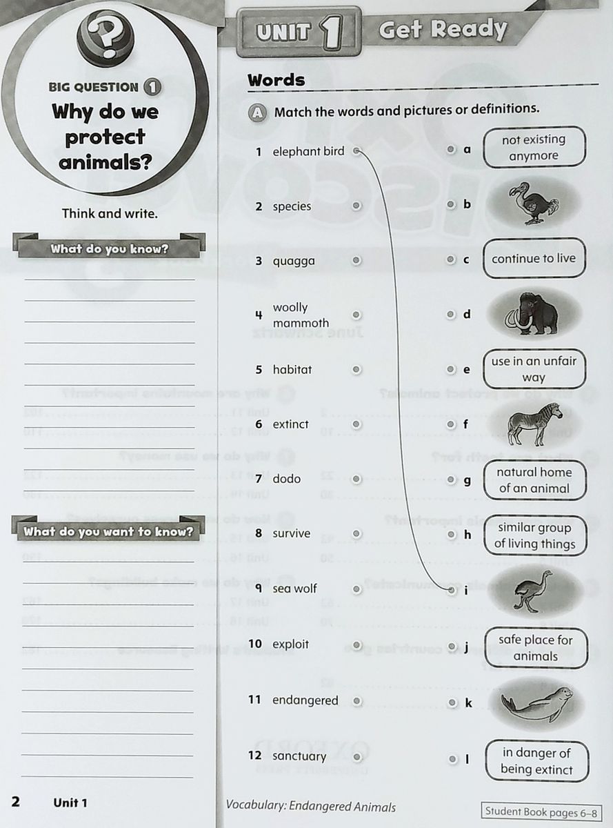 Oxford Discover 5 Workbook