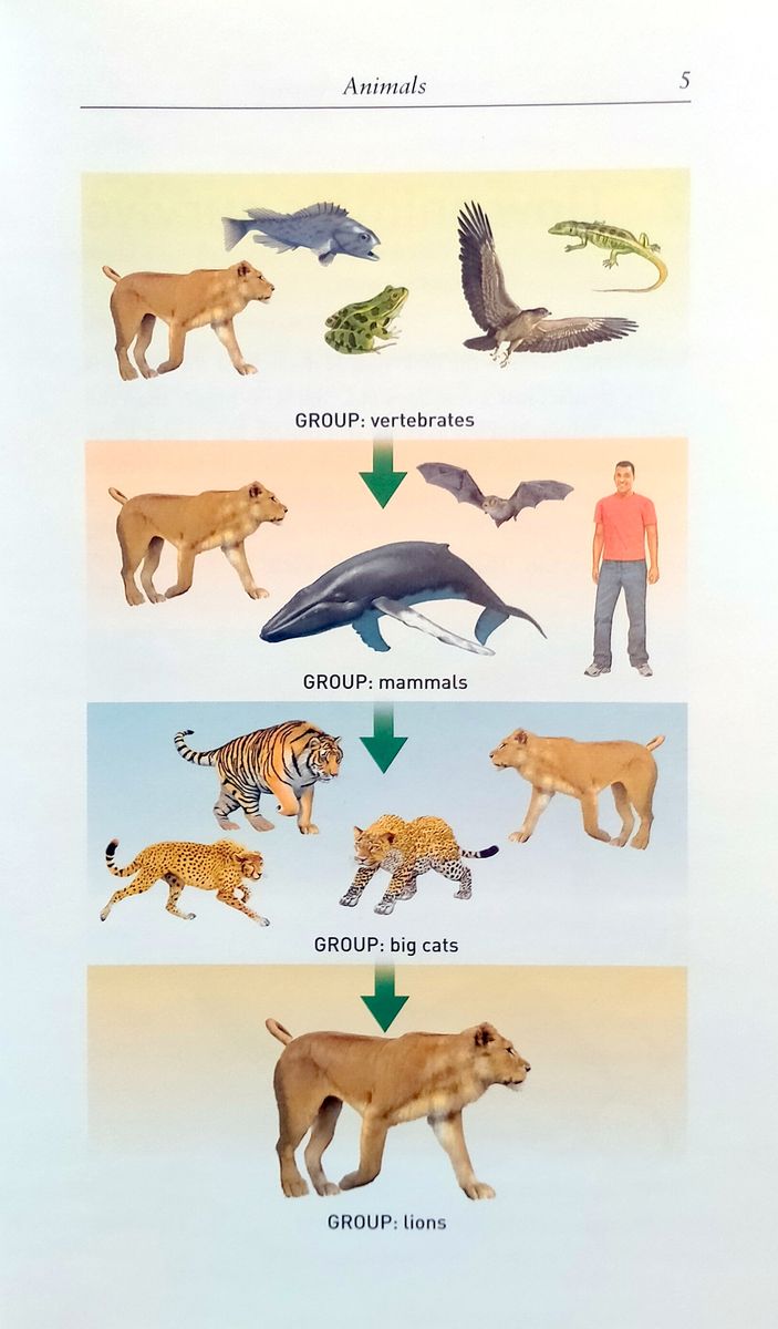 Oxford Bookworms Factfiles 3 Animal Kingdom with Audio Download (access card inside)