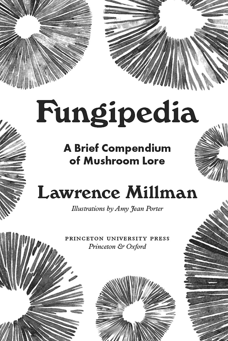 Fungipedia A Brief Compendium of Mushroom Lore