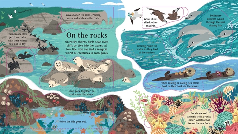 Usborne Look Inside Nature