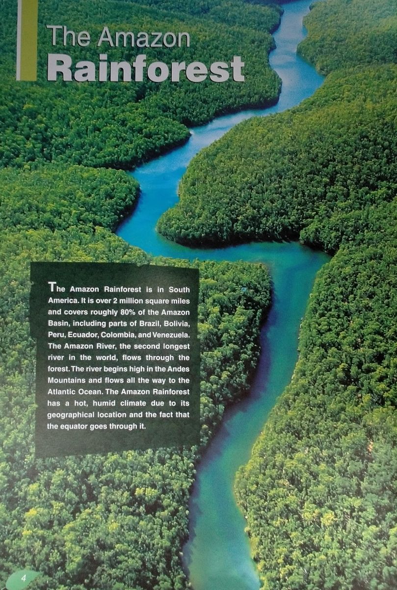 Discover Our Amazing World The Amazon Rainforest II Teacher's Pack (Reader with Digibook and Teacher's CD-ROM)