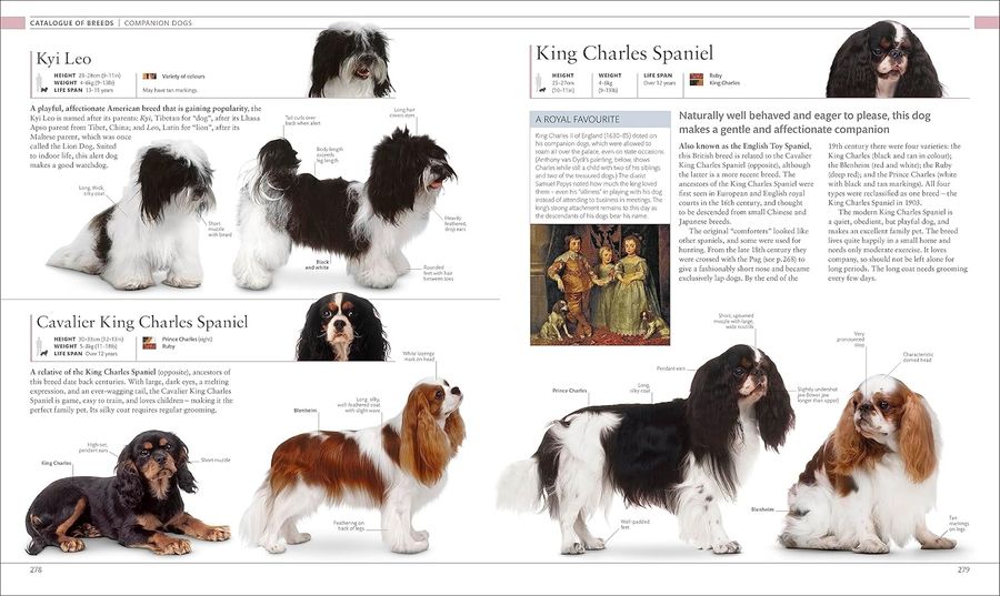 The Dog Encyclopedia The Definitive Visual Guide