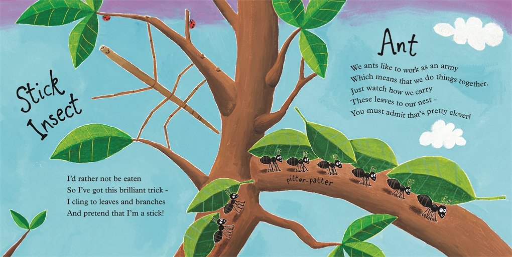 Mad About Minibeasts