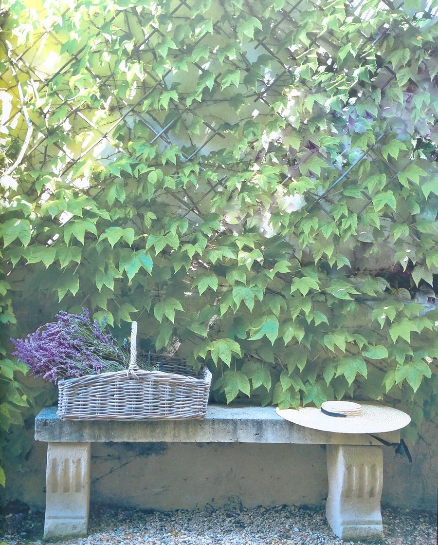 Flower Couture From My Garden to My House