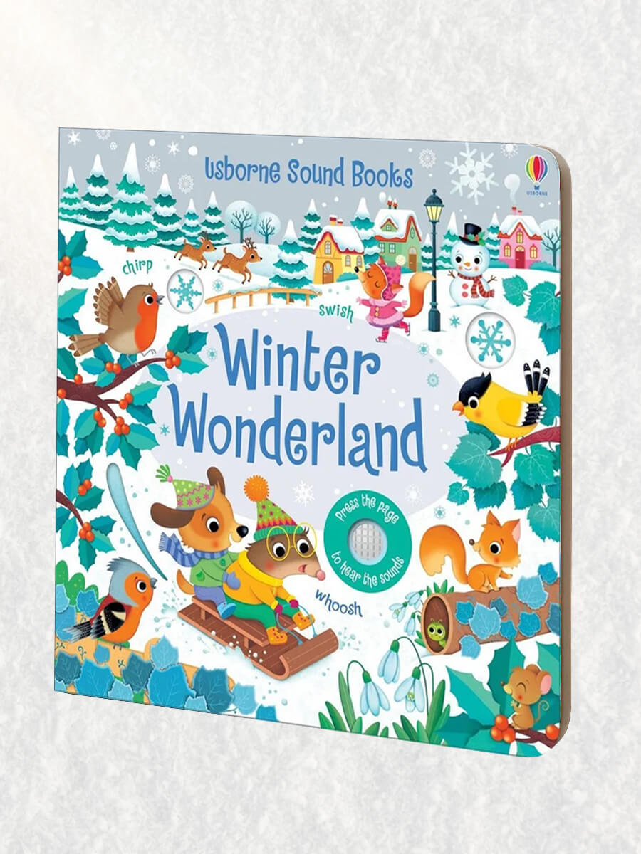 Usborne Sound Books Winter Wonderland