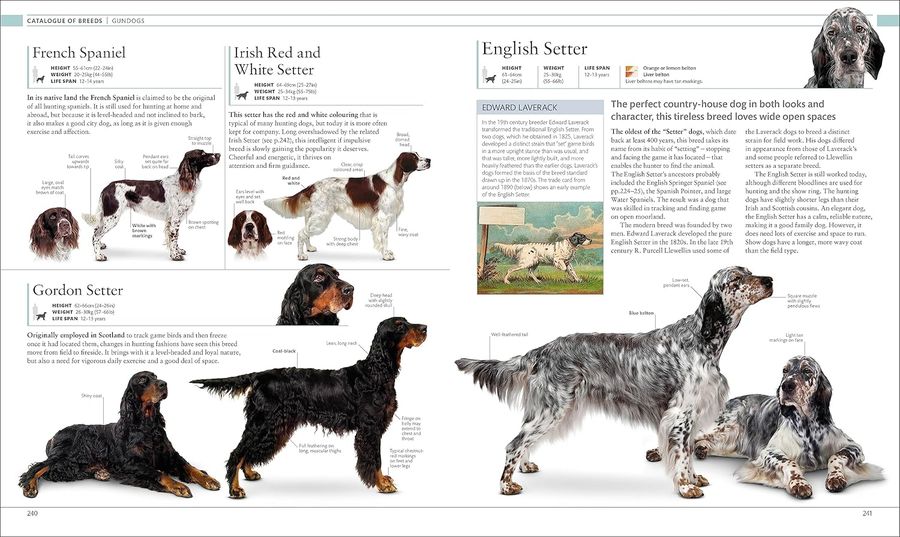 The Dog Encyclopedia The Definitive Visual Guide