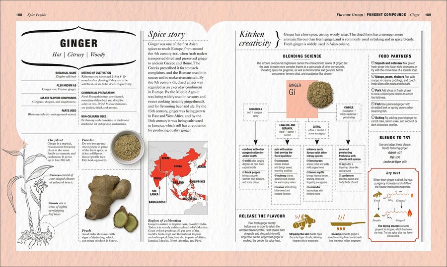 The Science of Spice Understand Flavour Connections and Revolutionize your Cooking