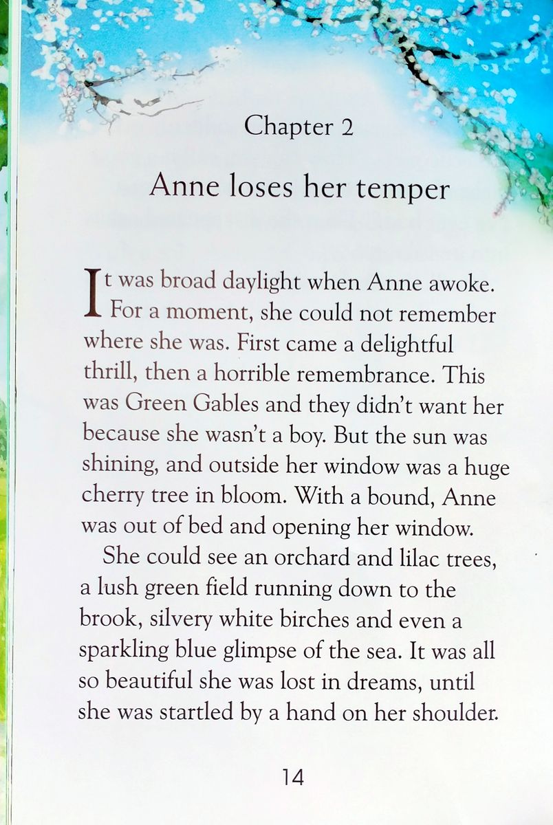 Usborne Young Reading 3 Anne of Green Gables