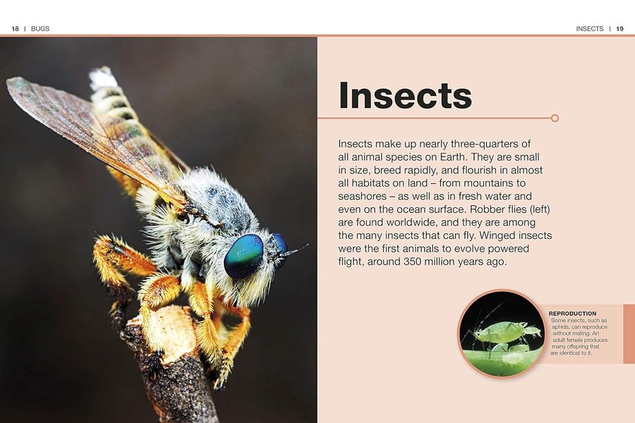 Pocket Eyewitness Insects Facts at Your Fingertips
