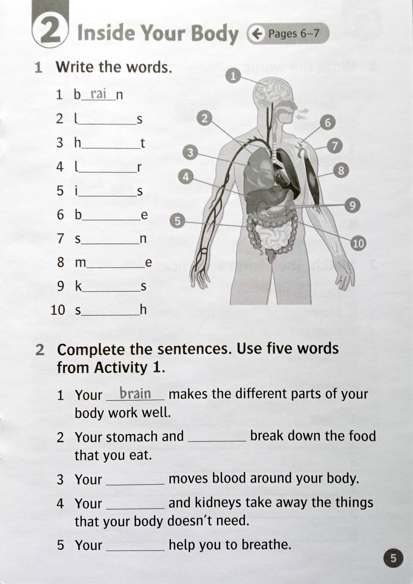 Oxford Read and Discover 4 How to Stay Healthy Activity Book