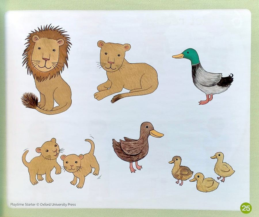 Playtime  Starter Class Book