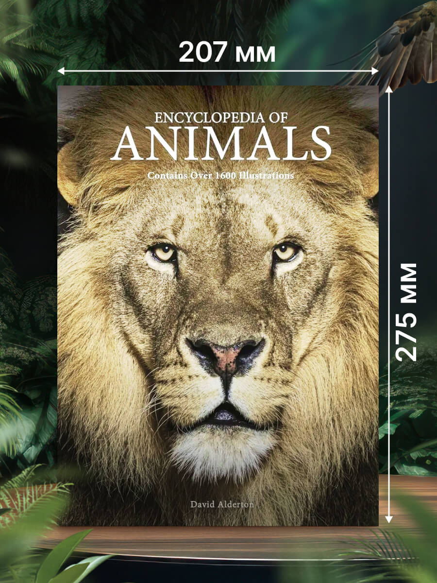 Encyclopedia of Animals