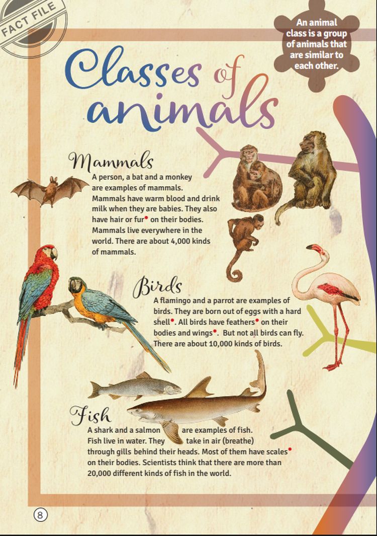 Helbling Young Readers 1 The Adventures of Doctor Dolittle + app + e-zone