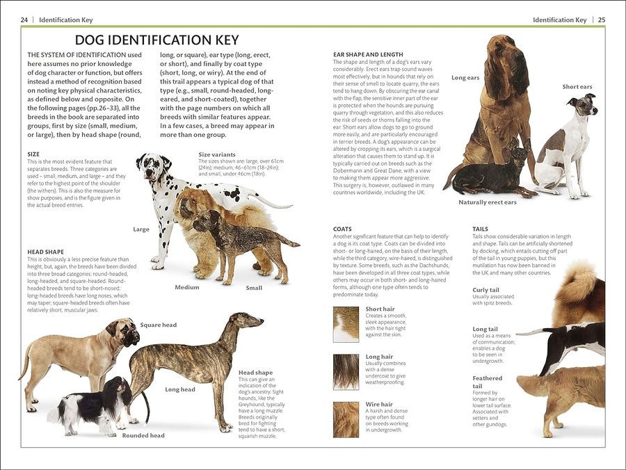 Dogs (DK Handbooks)
