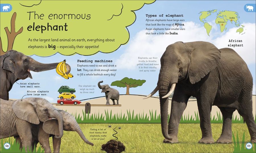 My Encyclopedia of Very Important Animals